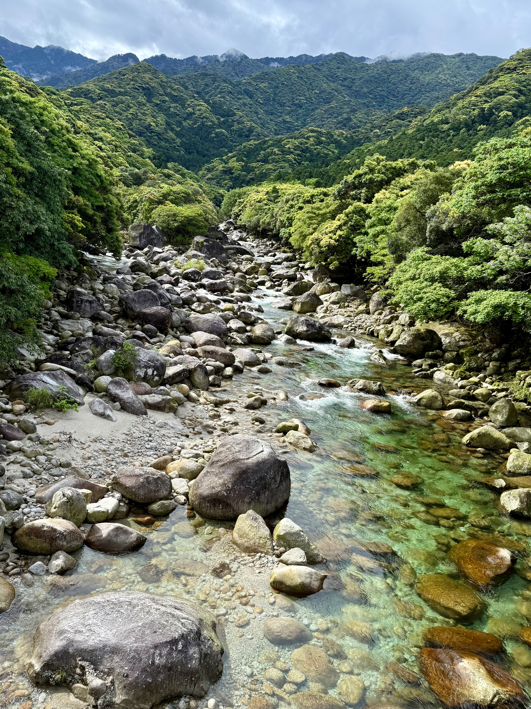 A lush, green forest wraps around a rocky riverbed with clear water flowing through it, set against a backdrop of rolling mountains.
